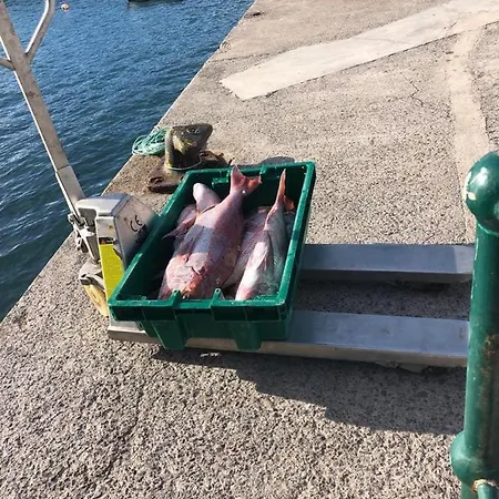 Palace Fernandes With Jacuzzi * كالهيتا