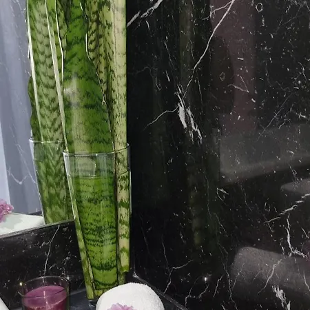 Palace Fernandes With Jacuzzi