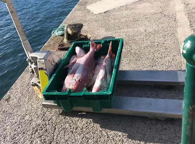 Palace Fernandes With Jacuzzi * Calheta (Madeira)